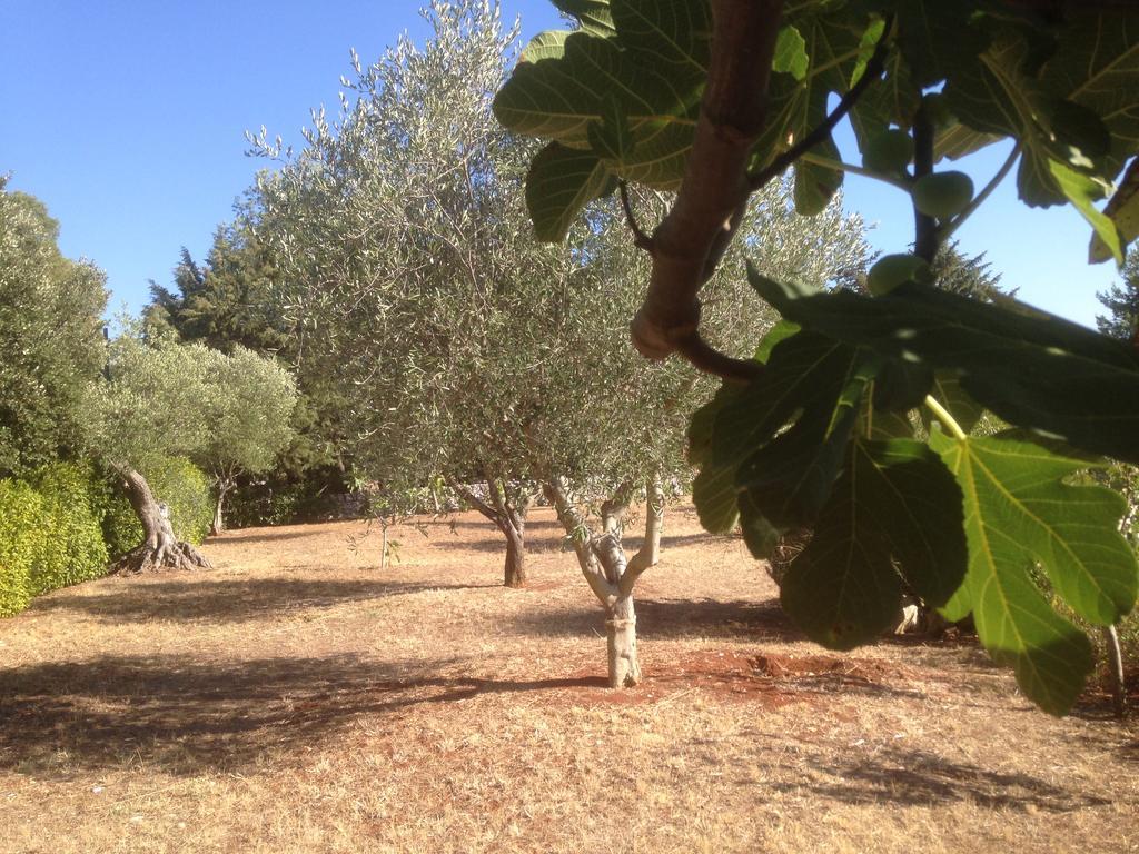 Trullo Picchiagiuda Villa Ostuni Ngoại thất bức ảnh
