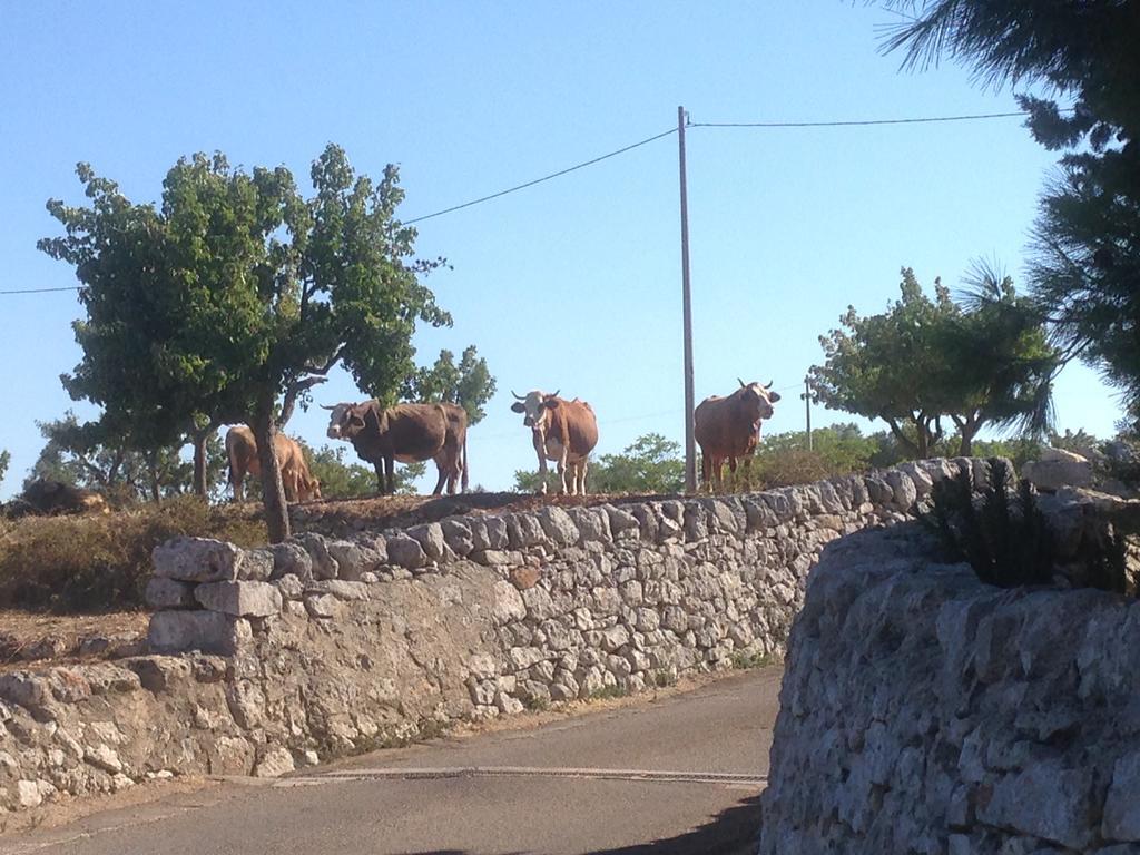 Trullo Picchiagiuda Villa Ostuni Ngoại thất bức ảnh